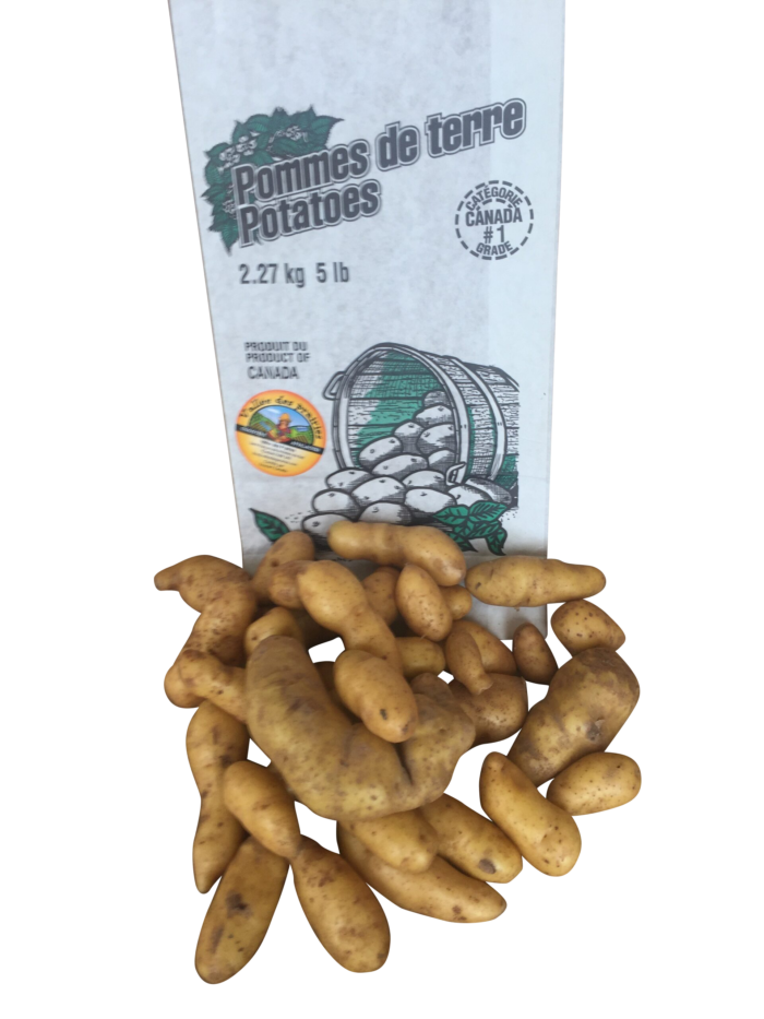 Patates rattes blanches bio 2 lbs