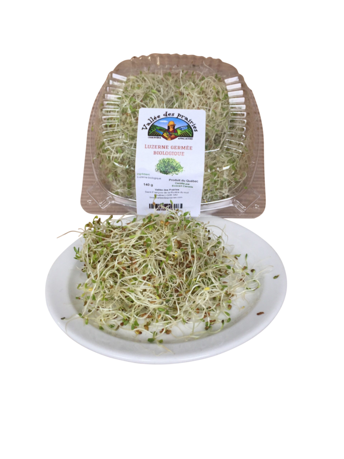 Germination de luzerne bio 140g