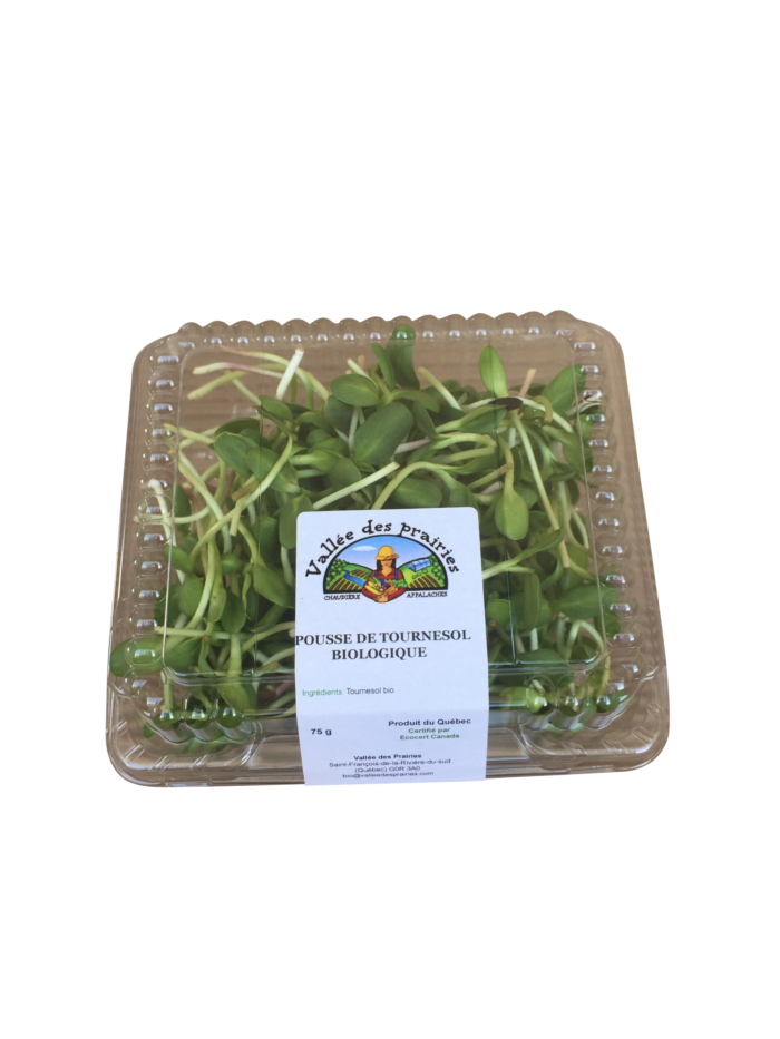 Pousse de tournesol bio 75g