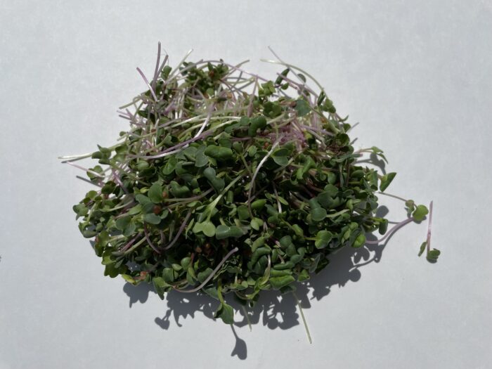 Micro pousses de radis mélangés 60g