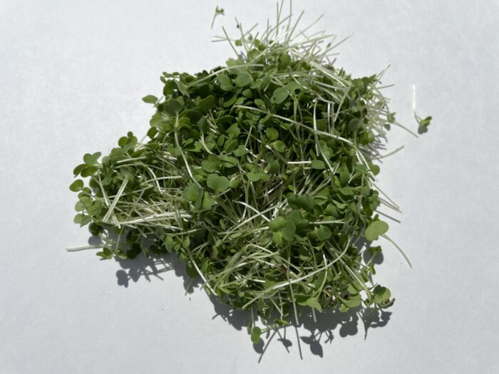 Micro pousses de roquette 30g